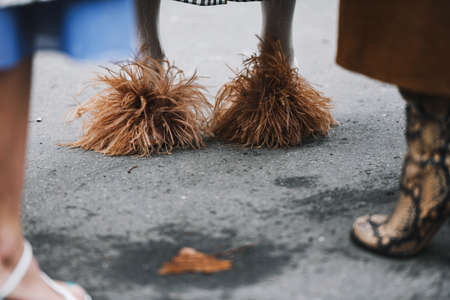 Paris, France - March 02, 2019: Street style outfit -  Fancy shoes after a fashion show during Paris Fashion Week - PFWFW19のeditorial素材