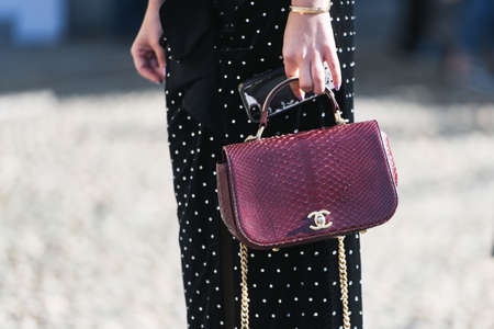 Milan, Italy - February 22, 2019: Street style â€“ Fancy purse in detail during Milan Fashion...
