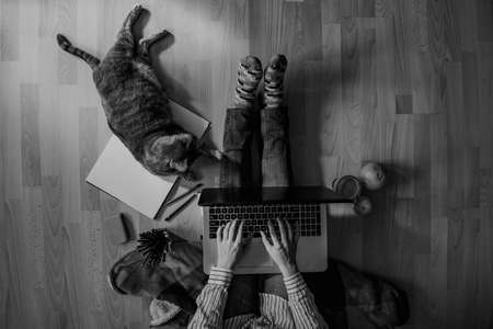 creative home work space - work from home concept - girl with catの写真素材