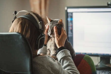 girl working from home with her catの写真素材