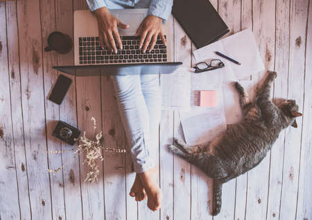 friendly workspace - girl working with her cat from homeの写真素材