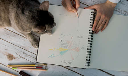 girl working from home with her catの写真素材
