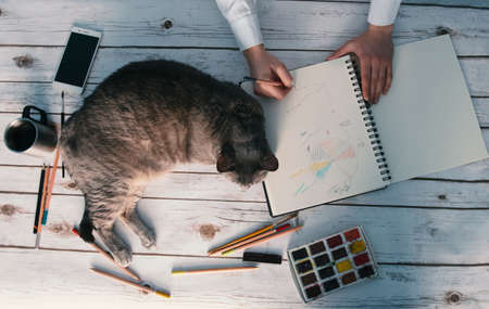 girl working from home with her catの写真素材