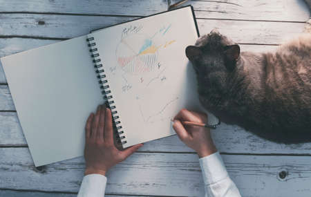 girl working from home with her catの写真素材