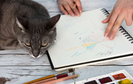 girl working from home with her catの写真素材