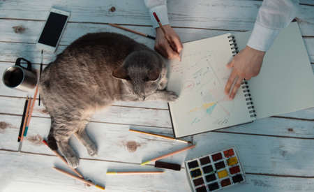 girl working from home with her catの写真素材