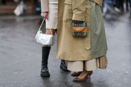 Paris, France - February 27, 2020: Snake print Chloe handbag - streetstylefw20のeditorial素材
