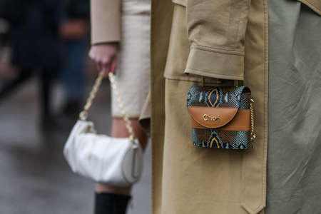 Paris, France - February 27, 2020: Snake print Chloe handbag - streetstylefw20のeditorial素材