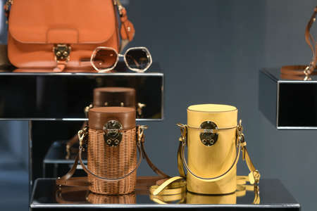 Milan, Italy - January 13, 2020: Miu Miu cylinder bags display