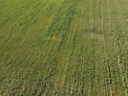 Abstract nature from above - aerial view