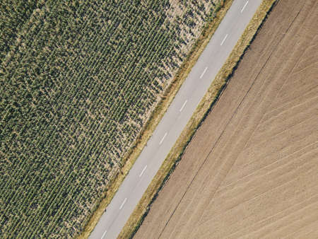 Danube Delta in Somova village, Dobrogea region,  Romania. Aerial view.
