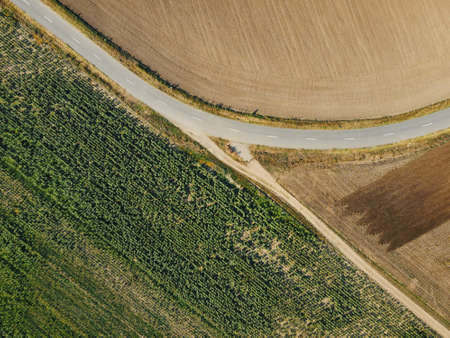 Danube Delta in Somova village, Dobrogea region,  Romania. Aerial view.の写真素材