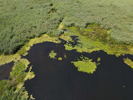 Danube Delta in Somova village, Dobrogea region,  Romania. Aerial view.