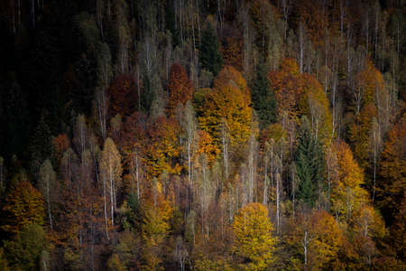 Autumn landscape in Pestera county, Romania