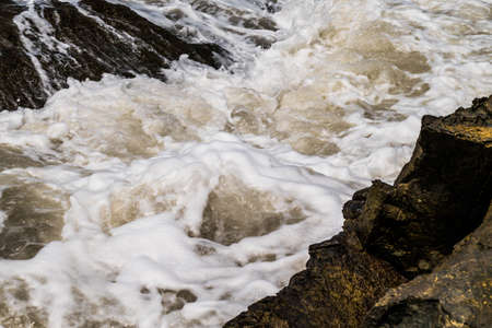 foam of the weavesの写真素材