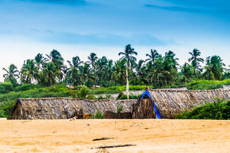 Beautiful huts with palm tree in background at Candolim Beach, Goaの写真素材