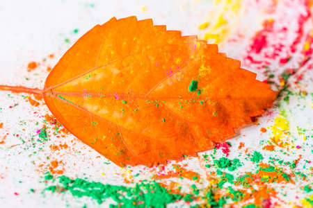 Holi powder used to celebrate festivals of colour in Hinduism and Indian regionの写真素材