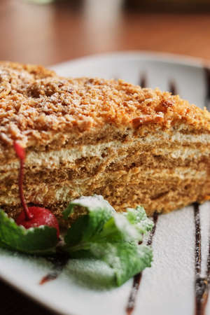 a piece of poured honey cake with chocolate topping on a plate, side view, set.の写真素材