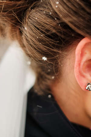 Head of the bride in snowflakes. Snowflakes on the girl's hair. close-upの写真素材