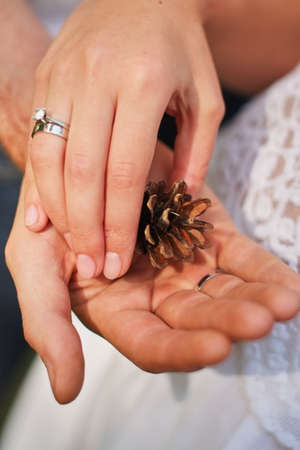Female hand holding pine cone in nature green forrest.の写真素材