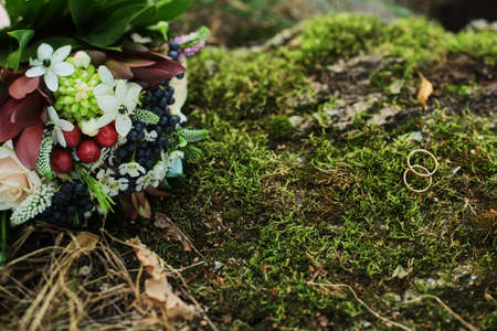 Wedding rings lie on green moss at the foot of the tree.の写真素材