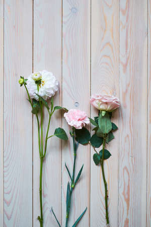 Gentle Vintage Wedding Background and beautiful flowersの写真素材