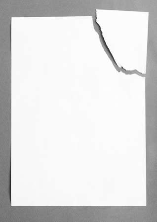 Sheet of white paper divided in two pieces, isolated on grey background, copyspaceの写真素材