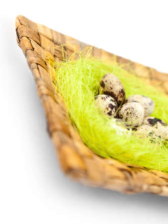 Easter quail eggs are on braided plate with sisal green fibre, isolated on white, isolated on whiteの写真素材
