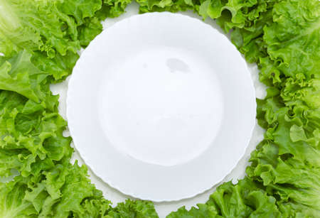 Close up of empty plate and lettuce around, isolated on white. Concept of healthy lifestyle and dietingの写真素材