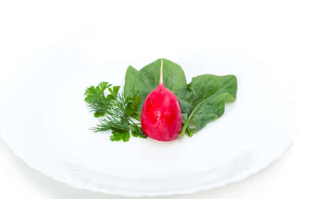 Close up of radish salad on plate, isolated. Concept of healthy lifestyle and dietingの写真素材