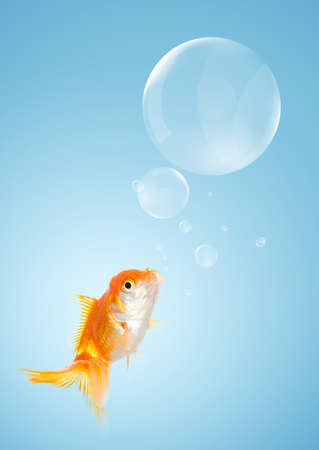 Smart goldfish and callouts like a bubble, on blue backgroundの写真素材