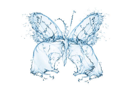 Butterfly water splash, isolated on whiteの写真素材