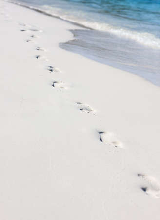 Footsteps on the sand of the Kuramathi beachの写真素材