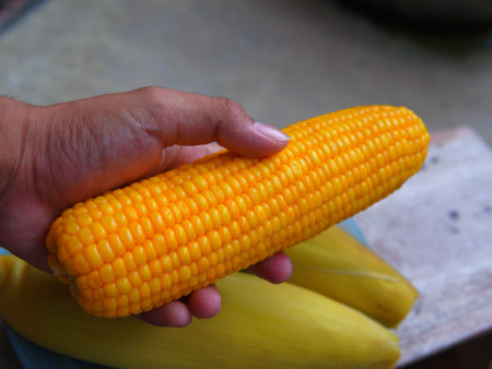 Corn on the cob in the hands, close-up. someone's hand holding boiled corn