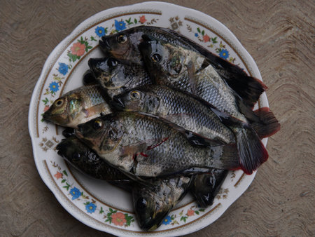 some raw tilapia fish on a plate. Fresh fish on a plate on a wooden table, close-up