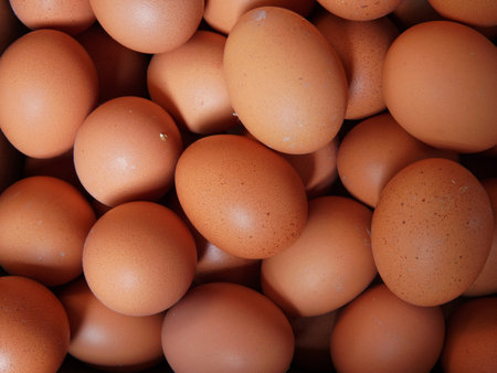 Eggs background. Top view of fresh chicken eggs background. texture background of many chicken eggs