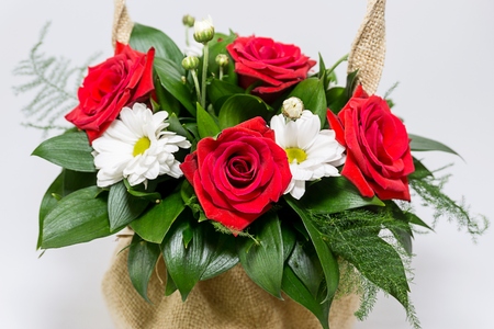 Red and white flowersの写真素材