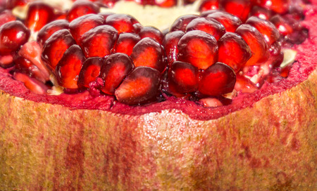Close up of pomegranateの写真素材