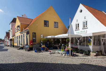 Flower shop on a street corner in Aeroeskoebingのeditorial素材