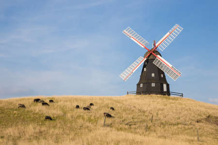 Windmill and sheep on a hillの写真素材