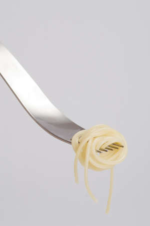 Wound up spaghetti on a fork stylishの写真素材