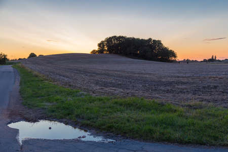 Small grove on a hill at sunset in Langelandの写真素材