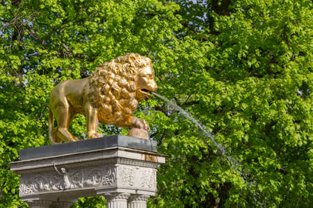 A golden lion gargoyles on a pedestal at the fountainの写真素材