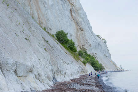 Busch Group on limestone cliffs in Mns Klint Denmarkの写真素材