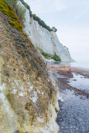 Cliff on the beach of Mns Klint Denmarkの写真素材