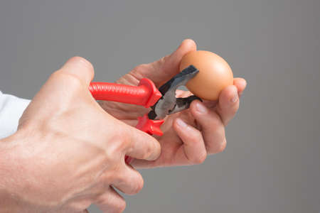 Close view of  males hands with hens egg and pliersの写真素材
