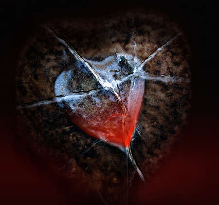 Last love impulse in an iced heartの写真素材