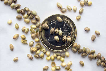 Close view of one euro coins with a hemp seeds