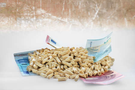 Euro banknotes and wood pellets in a bright backgroundの写真素材