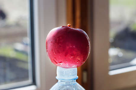 Red apple on a blue plastic  bottle with mineral waterの写真素材